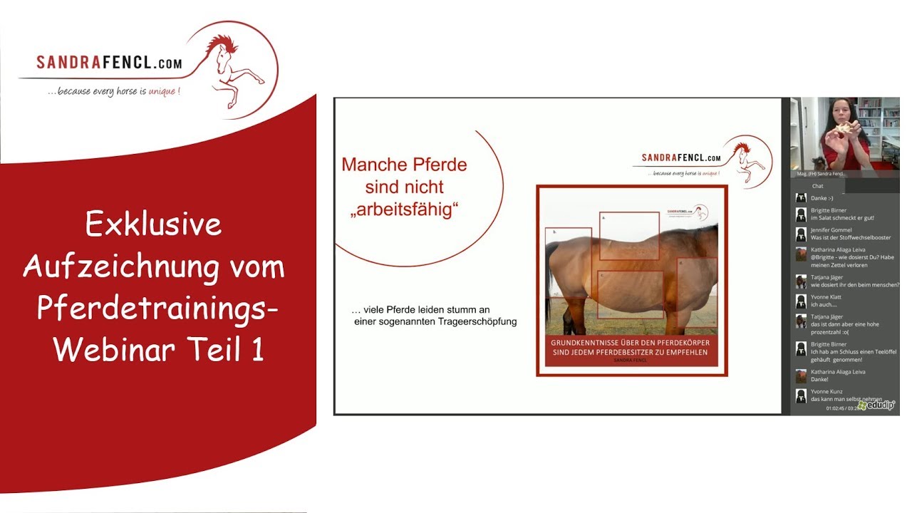 🐴 Exklusive Aufzeichnung vom Pferdetrainingswebinar Teil 1 👍