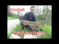 Brochet de 69cm, Canal de l&#39;Ourcq...(Mareuil sur Ourcq)