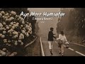 Aye Mere Humsafar & Slowed Reverb Song - VW lofi