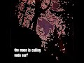 Miniature de la vidéo de la chanson You're Going To Miss The Wood [Demo]