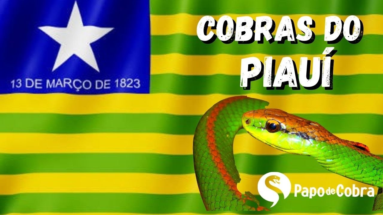 Serpentes do Piauí | Papo de Cobra