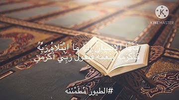 سوره الفجر /أحمد النفيس
