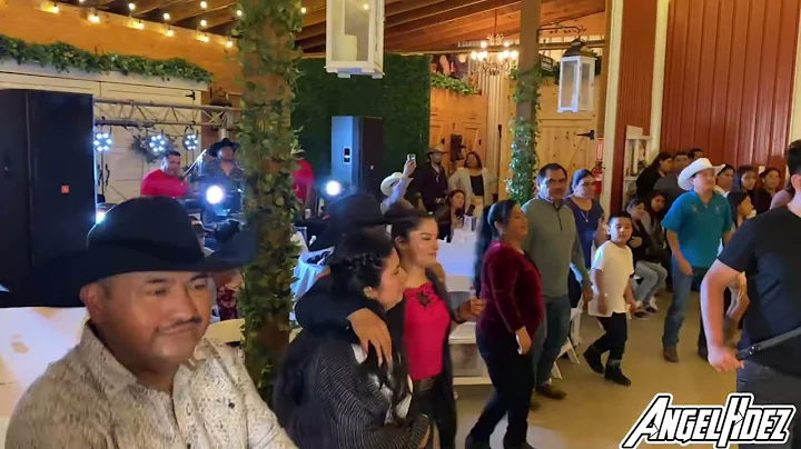 El Grillo Y Su Teclado, Tocando El Torito Que Ambi...