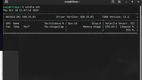 nvidia-smi Ate My RAM!