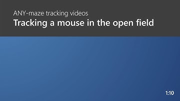 ANY-maze tracking a mouse in the open field