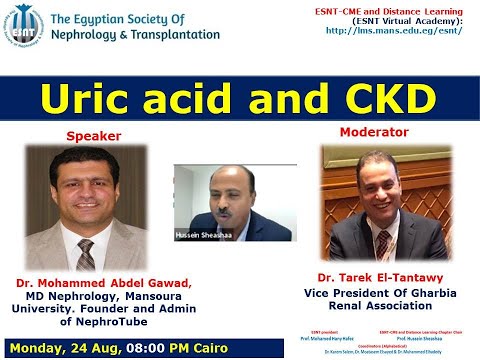 Uric acid and chronic kidney disease. Dr. Mohammed Abdel Gawad, 24 Aug 2020