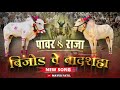 Power  raja  taloje majkur express  new song bailgada sharyat mayurpatil