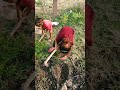 ⛏️kishan ka balk h gwar mt smjlena 🥰💕 ##farming #hardwork #sortvideo