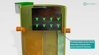 Easyset Pl Napisy - Alfa-Tech