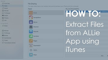 How to: Extract files from ALLie App with iTunes /  ALLie 360 VR video camera