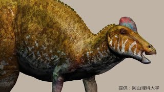 香川県は恐竜化石の産地か 38年前に見つかった化石は「ハドロサウルス