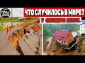 Катаклизмы за день 7 ОКТЯБРЯ 2021! Пульс Земли! в мире событие дня #flooding​ #ураган​ #наводнение