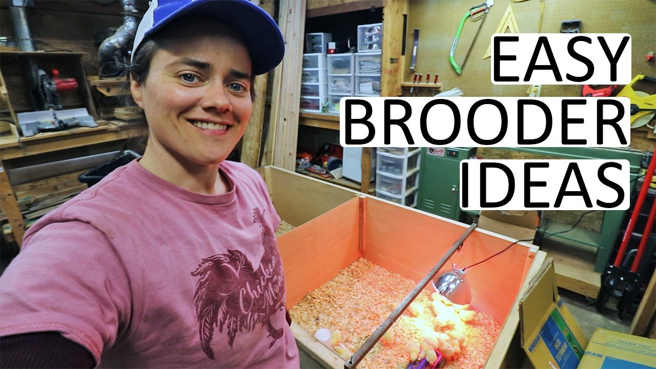 Building An Easy, Simple, Free and Fast Brooder - YouTube