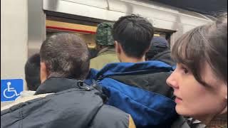 TTC Chronicles 3 - Toronto Canada November 27, 2025