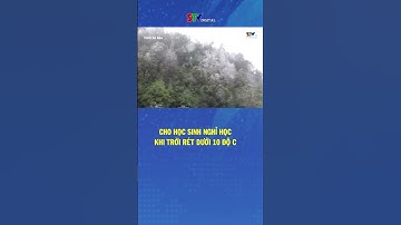 Cho học sinh nghỉ học khi trời rét dưới 10 độ C #shorts #shortsvideo #truyenhinhsonla #sonlatv