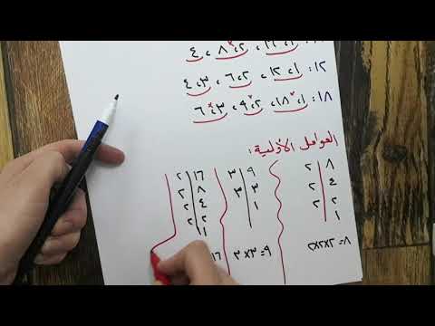 عوامل العدد والعوامل الأولية 