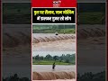 Mandla Heavy Rain Viral Video : पुल पर सैलाब, जान जोखिम में डालकर गुजर रहे लोग