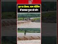 Mandla Heavy Rain Viral Video : पुल पर सैलाब, जान जोखिम में डालकर गुजर रहे लोग