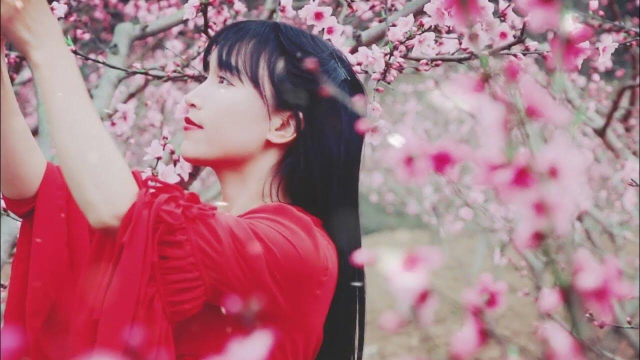 liziqi Come Back Soon Li Ziqi YouTube liziqi-come-back-soon-li-ziqi-youtube