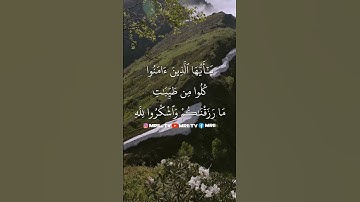 ماهر المعيقلي - سورة البقرة ( برواية حفص عن عاصم ) الأية 172