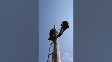 How high did we get with two @trophyline_ mini sticks and one aider? New Video Tomorrow #shorts