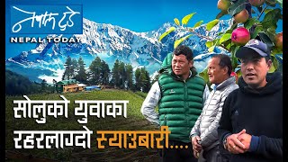 सोलुको युवाका रहरलाग्दो स्याउबारी... [ The Nepal today ] Agriculture in Nepal