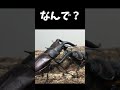 ディディエールシカクワガタvs国産ノコギリクワガタ