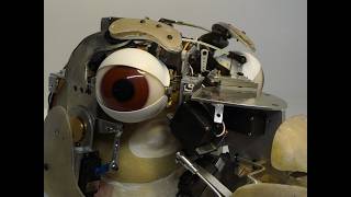Animatronic Rabbit Head Mechanism | FACEHEAD.CO