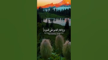 القارئ ياسر الدوسري #اكسبلور #المصحف #الرحمن #لايك #راحة_نفسية
