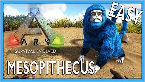 How To Tame A Mesopithecus In Ark Survival Evolved