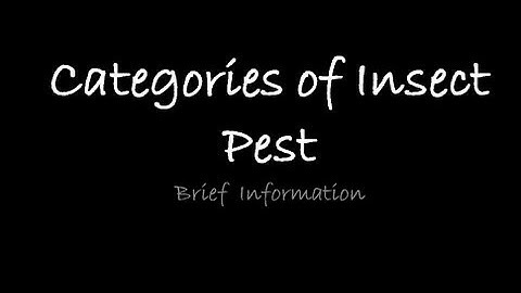 Insect pest and its categories