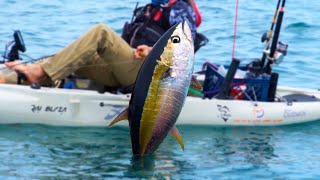 INSANE Yellowfin Tuna Fishing from Kayaks in the Pacific (CATCH CLEAN COOK)