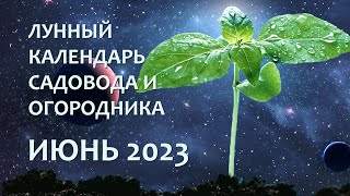 Лунный календарь на июнь 2023 для садоводов, огородников и цветоводов