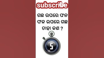 odia dhaga dhamali prasna|odiagk|odia dhaga katha|tricky question|clever questions|funny questions