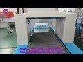 2244 P38 Automatic L-Type Plastic Bottle Film Wrapping Machine