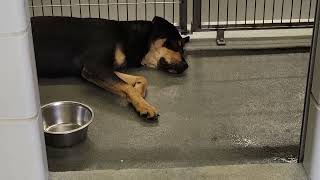 acs A668417