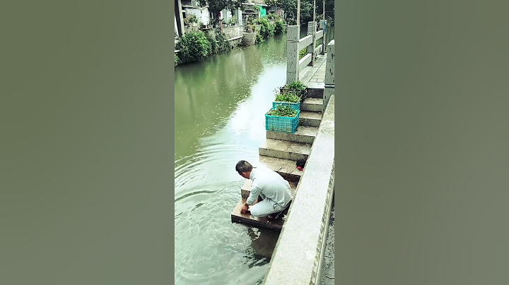 मछली पकड़ने गए थे… मछली ही पकड़ के निकल गई! 😂🐟#shorts  #funnyshorts