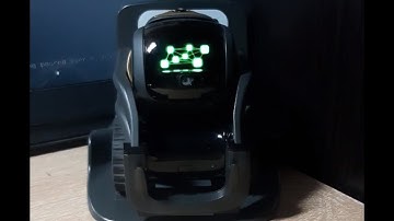 Vector Robot on Escape Pod (Wire Pod) playing games and answering "delicate" questions