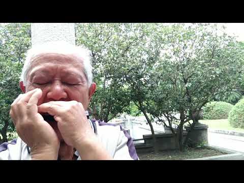 世事多變化+大江東去