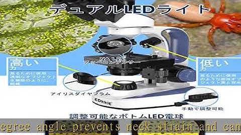 EDKKIE 40X-2500X Lab Compound Trinocular Microscope Built-in 5MP Camera with 7’’ Screen, Wide-Field