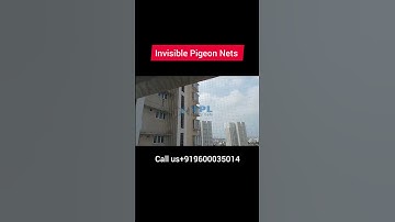 🕊️ #Pigeon Invisible Nets – Ultimate Balcony & Window Protection | YPL Safety Nets