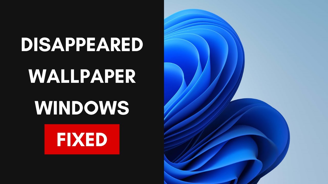 How To Fix Disappeared Wallpaper On Windows 11 10 Problem YouTube
