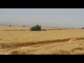 وةرزى دروينة