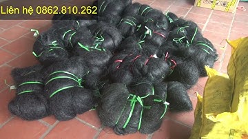 Những mẫu Lưới Bẫy Chim Đêm được anh em thợ sử dụng nhiều