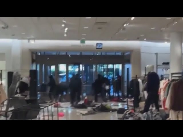 Nordstrom Westfield Topanga Mall is ransacked by gang of FIFTY looters who  targeted Bottega Veneta concession