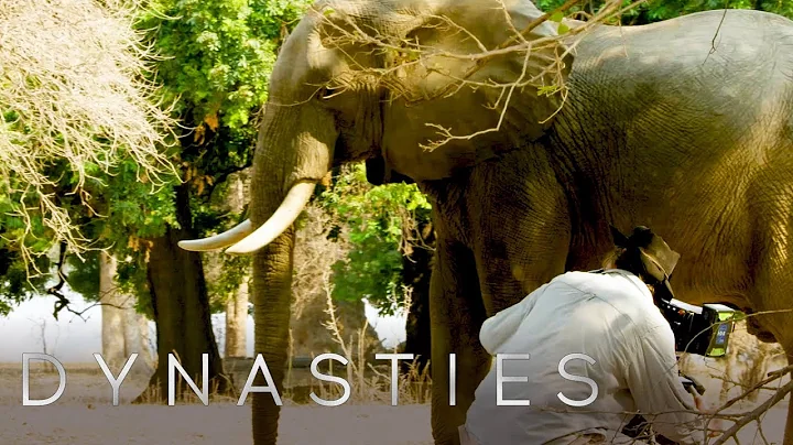 So You Want To Be A Wildlife Filmmaker? | Dynasties: Behind The Scenes | BBC Earth Explore