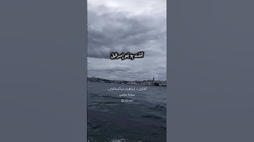 آيات من سورة يونس #إبراهيم_تركستاني #سورة_يونس #تلاوة_خاشعة #قرآن #القرآن_الكريم #اكسبلور #يونس