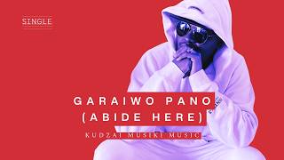 Abide Here | Powerful Zimbabwean Worship | Kudzai Musiki Music