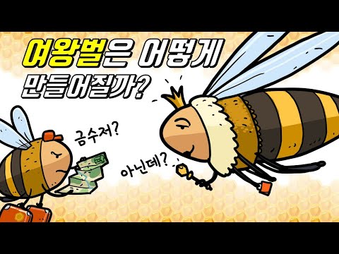 기존 여왕벌이 죽으면 새로운 여왕벌은 어떻게 만들어질까?