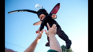 Grifo Sucio Piscina Curiosos Disfraces de Mosquitos - YouTube